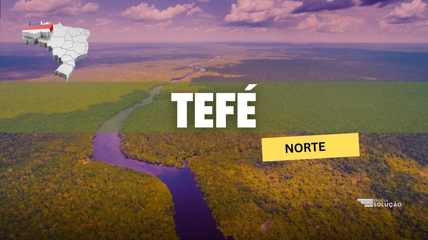 Tef AM Tudo O Que Voc Precisa Saber Escola Solu o Tef AM Tudo O Que Voc Precisa Saber Escola Solu o